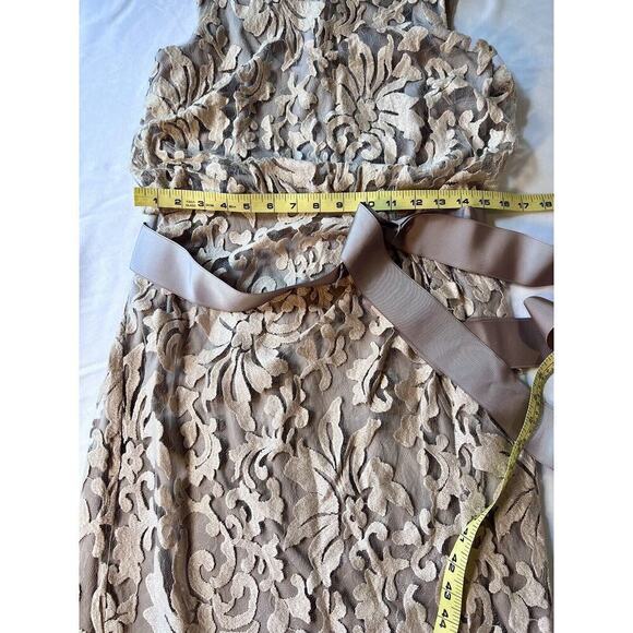 Tadashi Shoji Size 8 Lace Overlay Sheath Dress Neutral Wedding Formal MOB - Picture 5 of 8